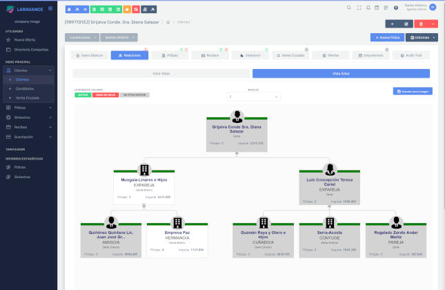 Informe programa de gestión con un diagrama en forma de árbol de relaciones de clientes con conexiones clave.